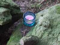 pochette album Light of hope