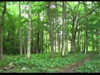 pochette album One fine day