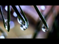 pochette album She closed her eyes