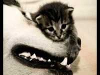 pochette album We don't have problem