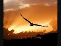 pochette album The river