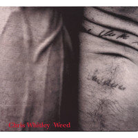 pochette album Make the dirt stick