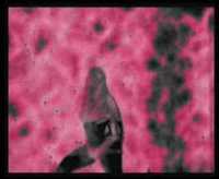 pochette album Eternal stars