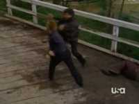 pochette album Walker, texas ranger