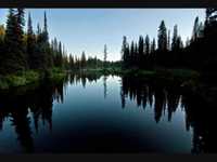 pochette album Don t say a word