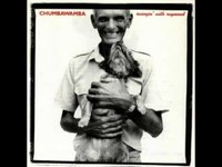 pochette album Not the girl i used to be