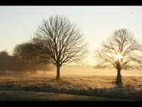 pochette album Song of the mother in debt