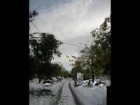 pochette album Buffalo