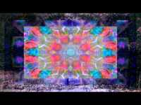 pochette album Cut in two