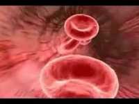 pochette album In a heartbeat