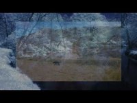 pochette album Into my hands