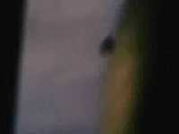 pochette album Nose dive