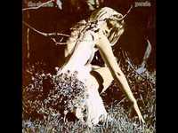 pochette album Shadow cabinet