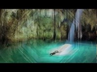 pochette album Swan lake