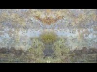 pochette album The dead man's dream