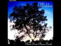 pochette album Walden 