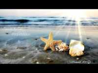 pochette album Foundation