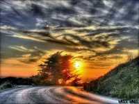 pochette album I will go the distance