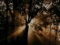 pochette album If a man ain't thinkin'