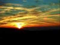 pochette album I only came to say goodbye