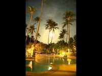 pochette album Magic is the moonlight