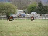 pochette album More to life