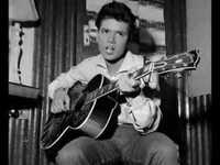 pochette album The night