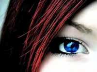 pochette album A song for susan