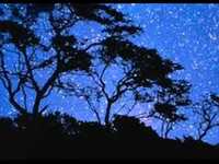 pochette album Climate of her favour