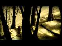 pochette album Jackdaw