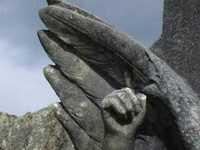 pochette album Where do angels really come from?