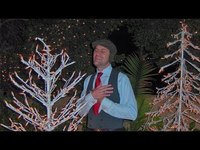 pochette album I love you