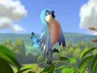 pochette album C'est enfin l'été