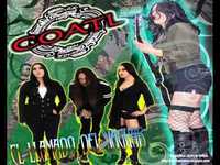 pochette album Apocaliptica