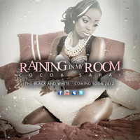 pochette album Raining in my room