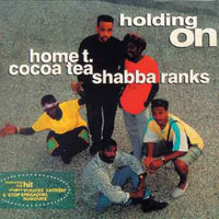 pochette album Camouflage