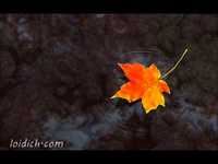 pochette album A crimson sky