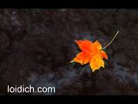 pochette album Love you all over again