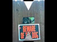 pochette album Heaven