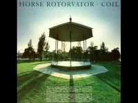 pochette album Circles of mania