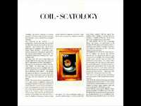 pochette album The spoiler