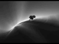 pochette album So hard