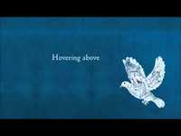 pochette album Fly on