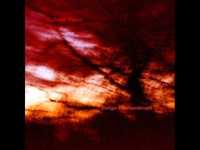 pochette album Reefer