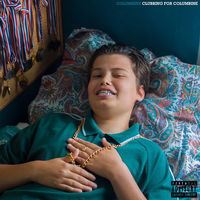 pochette album Blue velvet