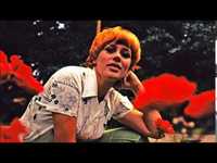 pochette album Ik heb een liefde