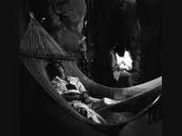 pochette album Nyc - gone