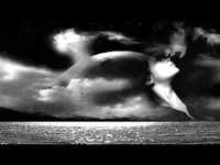 pochette album I wanna be with you