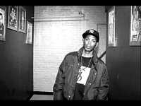 pochette album Freestyle