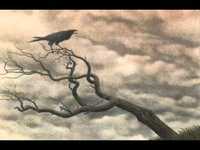 pochette album A devastating age